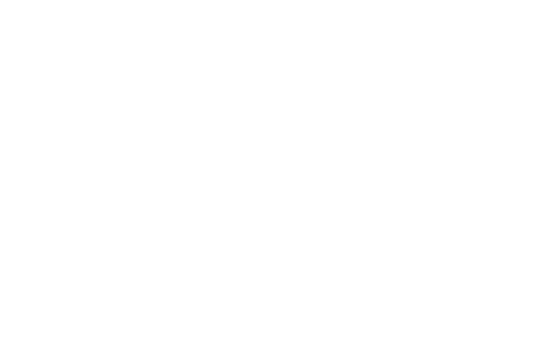 Badlis Hotel